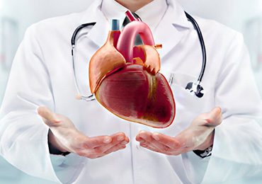 Best Cardiologist in Tambaram